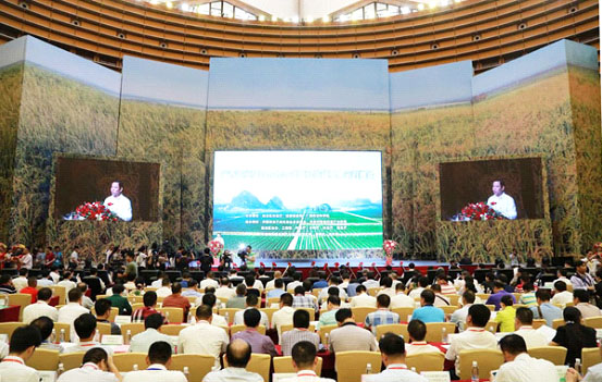 內(nèi)蒙古龍頭企業(yè)協(xié)會(huì)應(yīng)邀出席廣西農(nóng)業(yè)項(xiàng)目合作洽談暨科技成果展示對接會(huì)