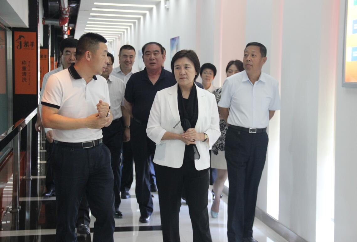 自治區(qū)黨委副書記、自治區(qū)主席布小林蒞臨協(xié)會會長單位——蒙羊牧業(yè)公司視察調(diào)研