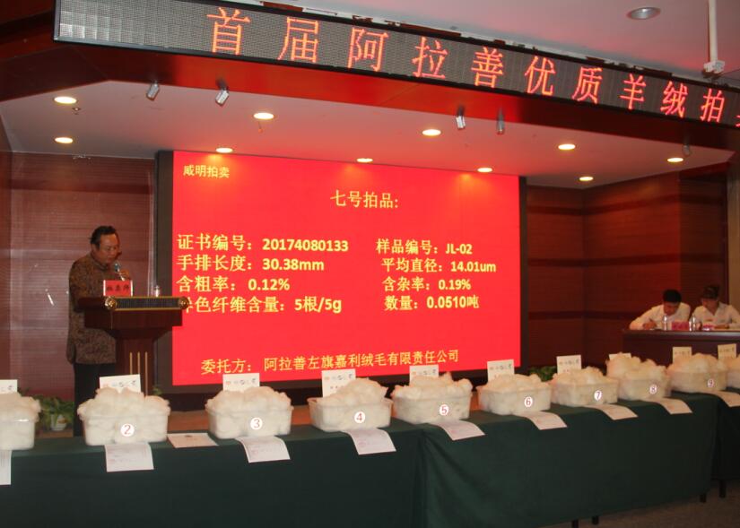 創(chuàng)新引領未來，品質(zhì)鑄就輝煌 首屆阿拉善優(yōu)質(zhì)羊絨拍賣會盛大舉行